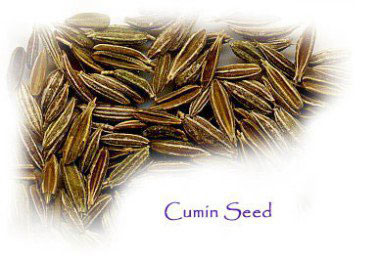 cumin-seed-kimino-ingolden.gr
