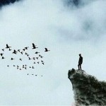 poulia-taksideyan-sto-dromo-mas-ingolden.gr-tartofski-birds-man